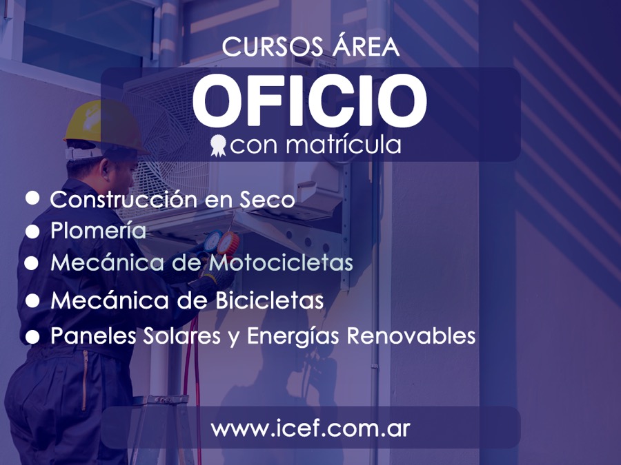 ICEF_Diapositiva12